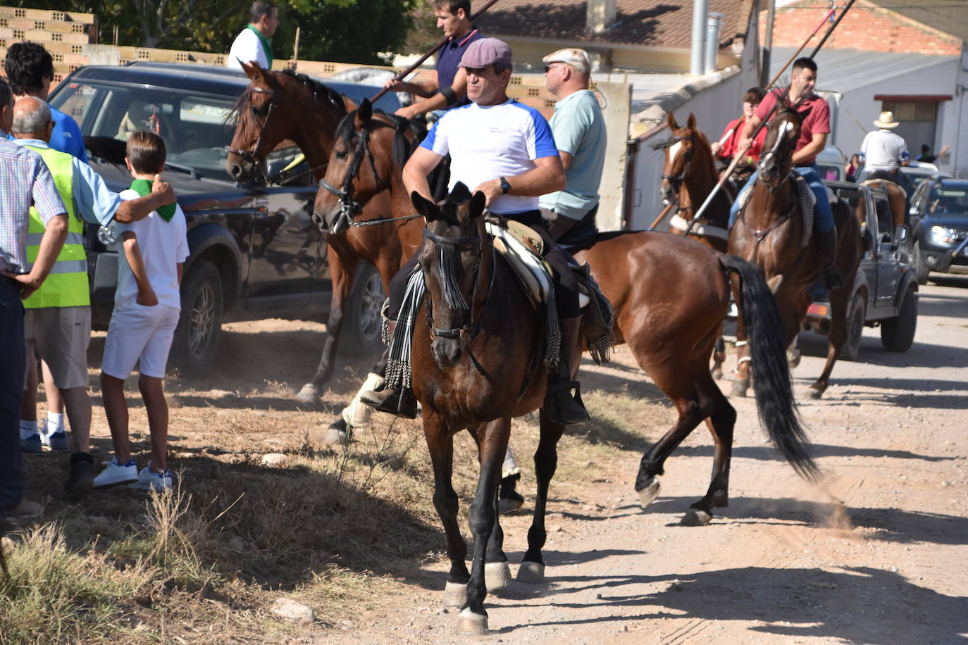 La saca de vacas de Valverde, en imágenes