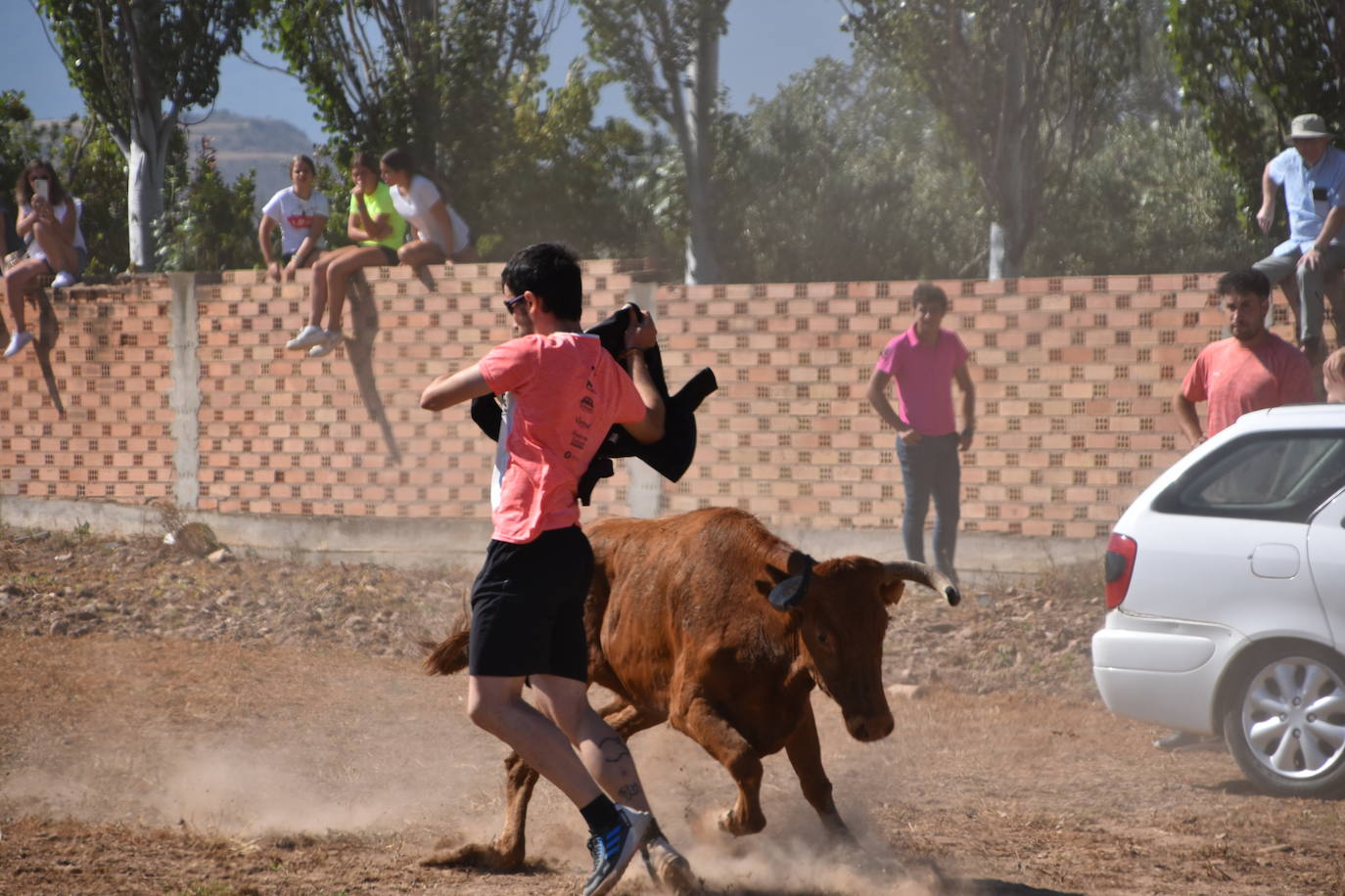 La saca de vacas de Valverde, en imágenes