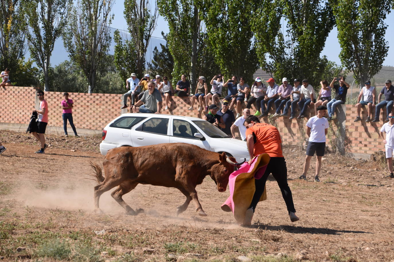 La saca de vacas de Valverde, en imágenes