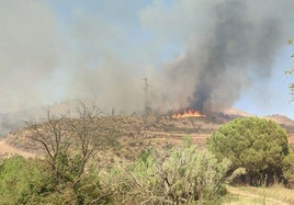 Un incendio calcina al menos ocho hectáreas de cultivos y matorral en Arnedo