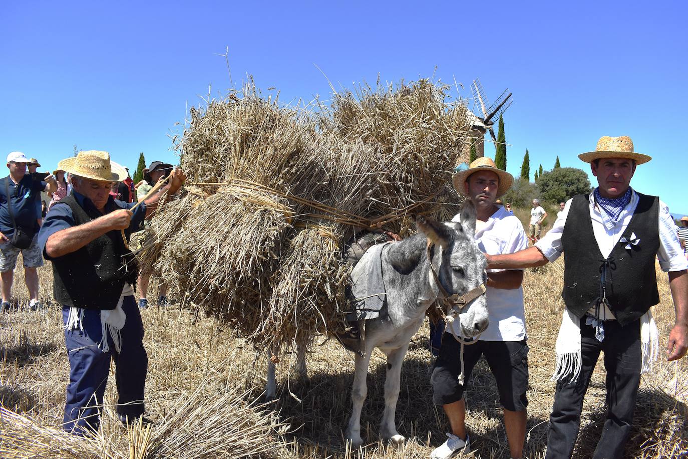 La Fiesta de la Molienda, en imágenes