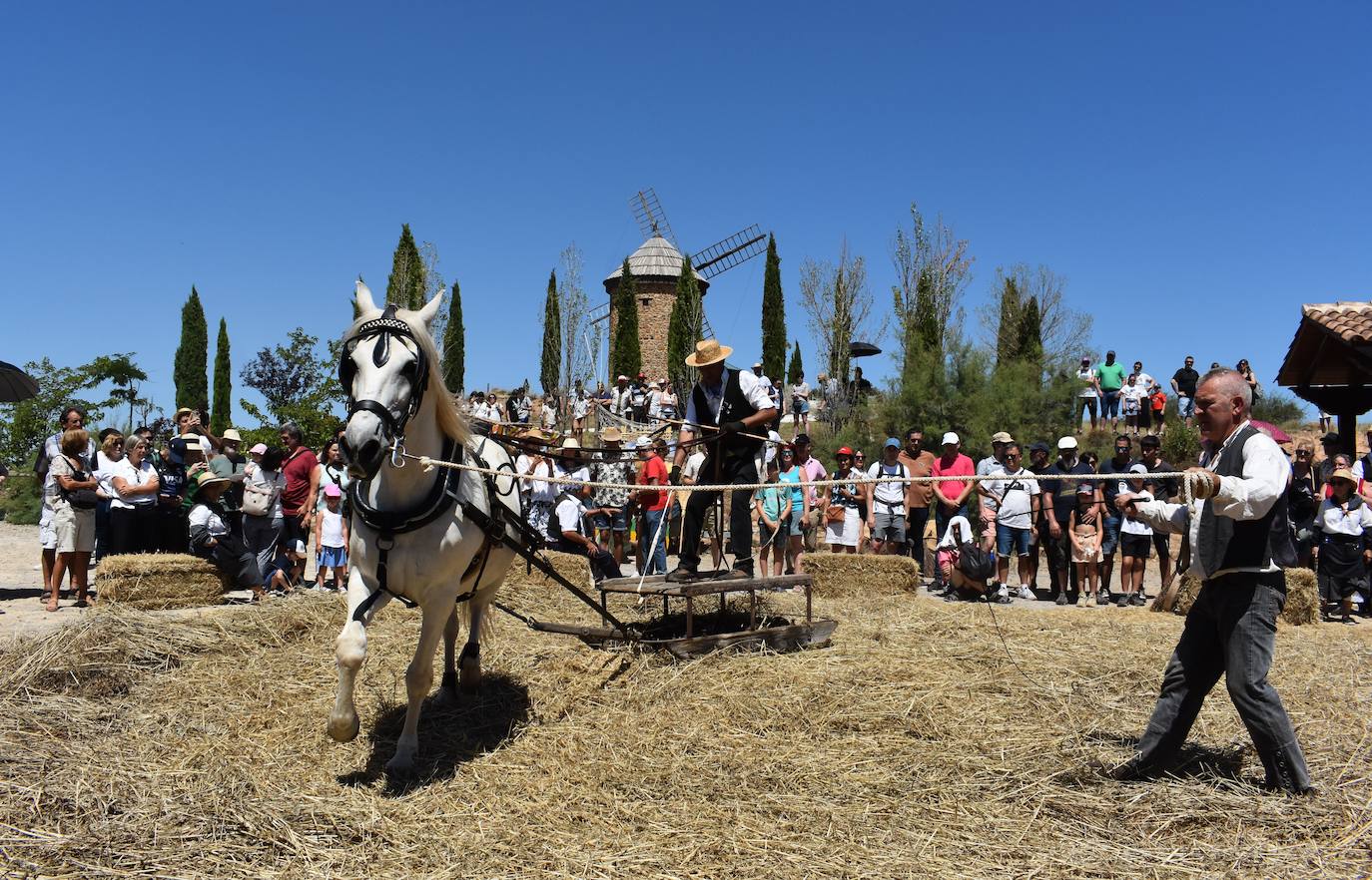 La Fiesta de la Molienda, en imágenes