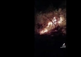 Un incendio afectó a 1500 metros cuadrados de finca de olivos con pasto bajo y ribazo en Cenicero