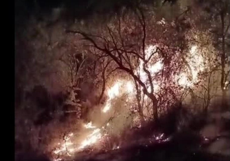 Un incendio afectó a 1500 metros cuadrados de finca de olivos con pasto bajo y ribazo en Cenicero