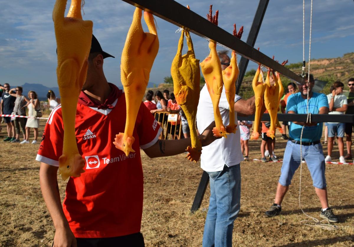 Muñecos de goma que desde hace dos décadas se usan en las célebres carreras de gallos de Nalda, antes con animales vivos.