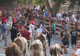 El último encierro de toros, que fue el primer acto de la jornada en la tarde de este martes, contó con muchos más corredores que en los días previos.