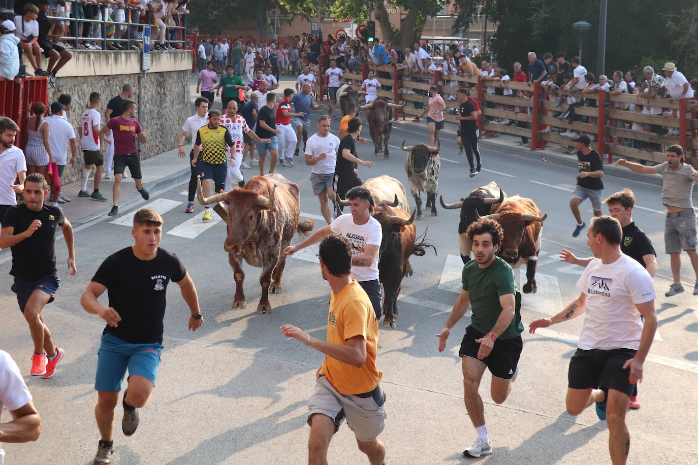 Alfaro se despide de sus fiestas