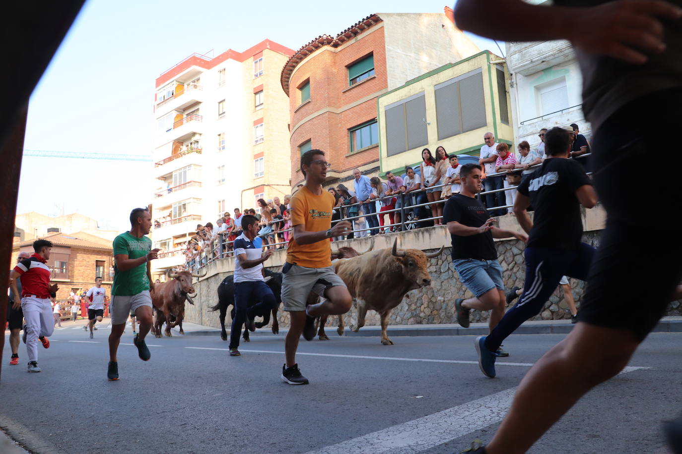 Alfaro se despide de sus fiestas