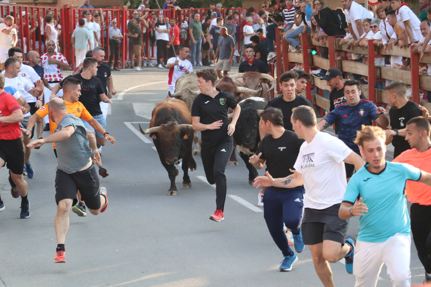 Alfaro se despide de sus fiestas