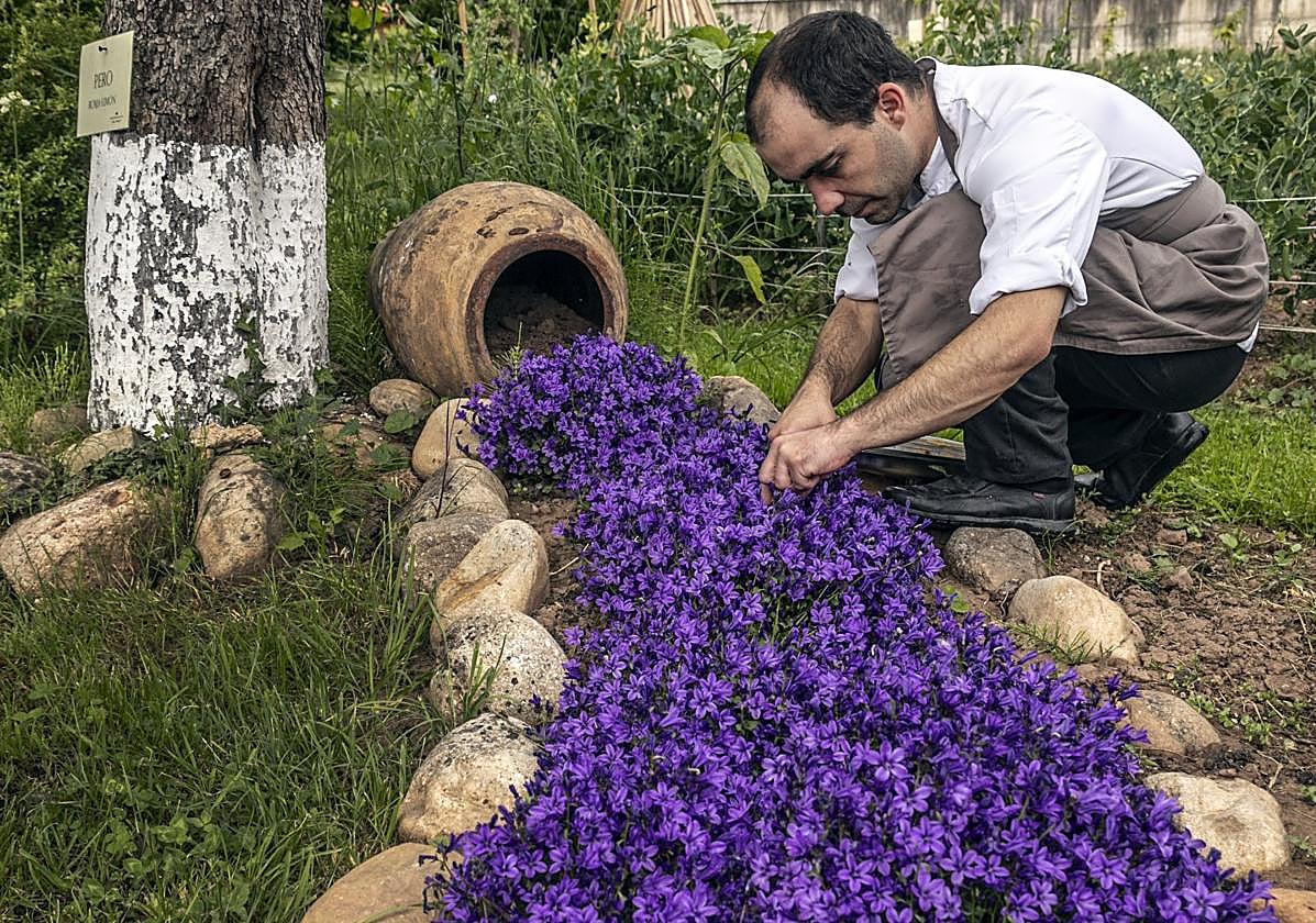 Venta de Moncalvillo es uno de los restaurantes que dispone de su propia huerta.