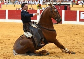 Sergio Domínguez en un desplante a lomos de su caballo Litri.