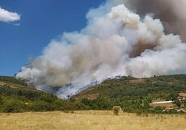 Los aviones de Agoncillo, claves para controlar el incendio de Burgos y evitar que pasara a La Rioja