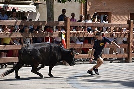 Ambiente taurino en las fiestas de Aldeanueva de Ebro