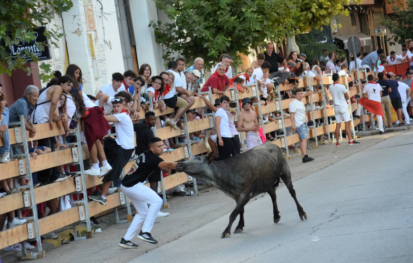 Las mejores fotos de encierro del domingo