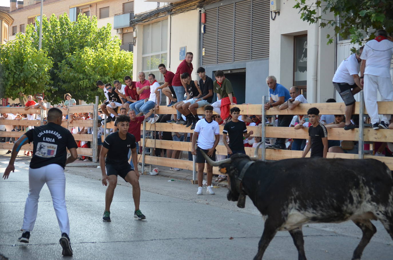 Las mejores fotos de encierro del domingo