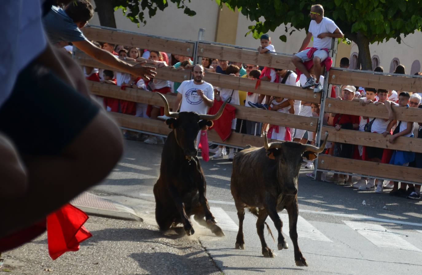 Las mejores fotos de encierro del domingo