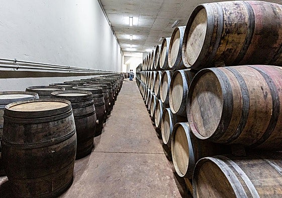 Zona de barricas de una bodega riojana.