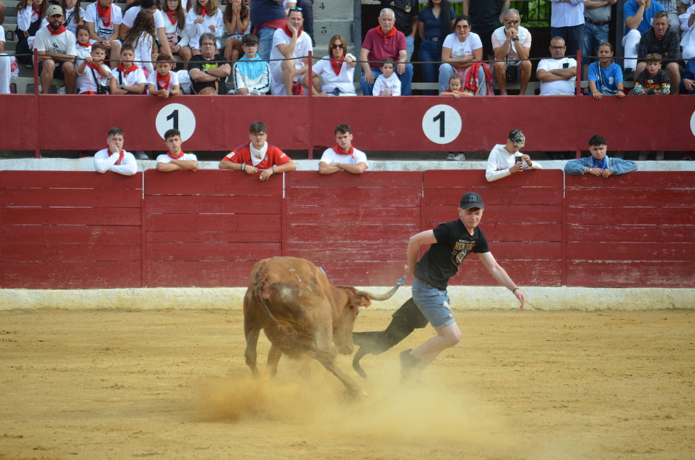 Mañana de novillos y tarde de risas con el Grand Prix en Calahorra