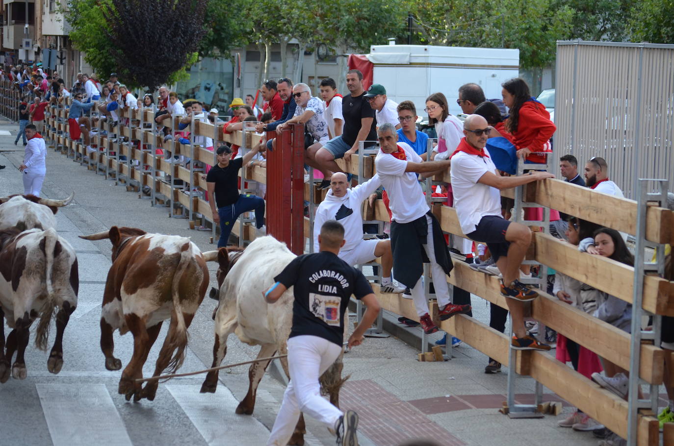 Mañana de novillos y tarde de risas con el Grand Prix en Calahorra