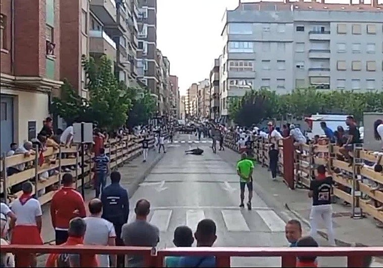 Vídeo: una vaca por los suelos en el encierro de Calahorra