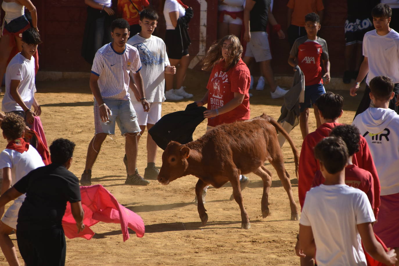 Día de degustaciones en Calahorra