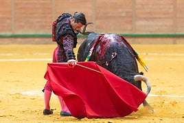 Urdiales, en Tarazona junto a Daniel Luque y Borja Jiménez