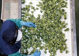 Imagen de archivo de un trabajador de una empresa de alimentación.