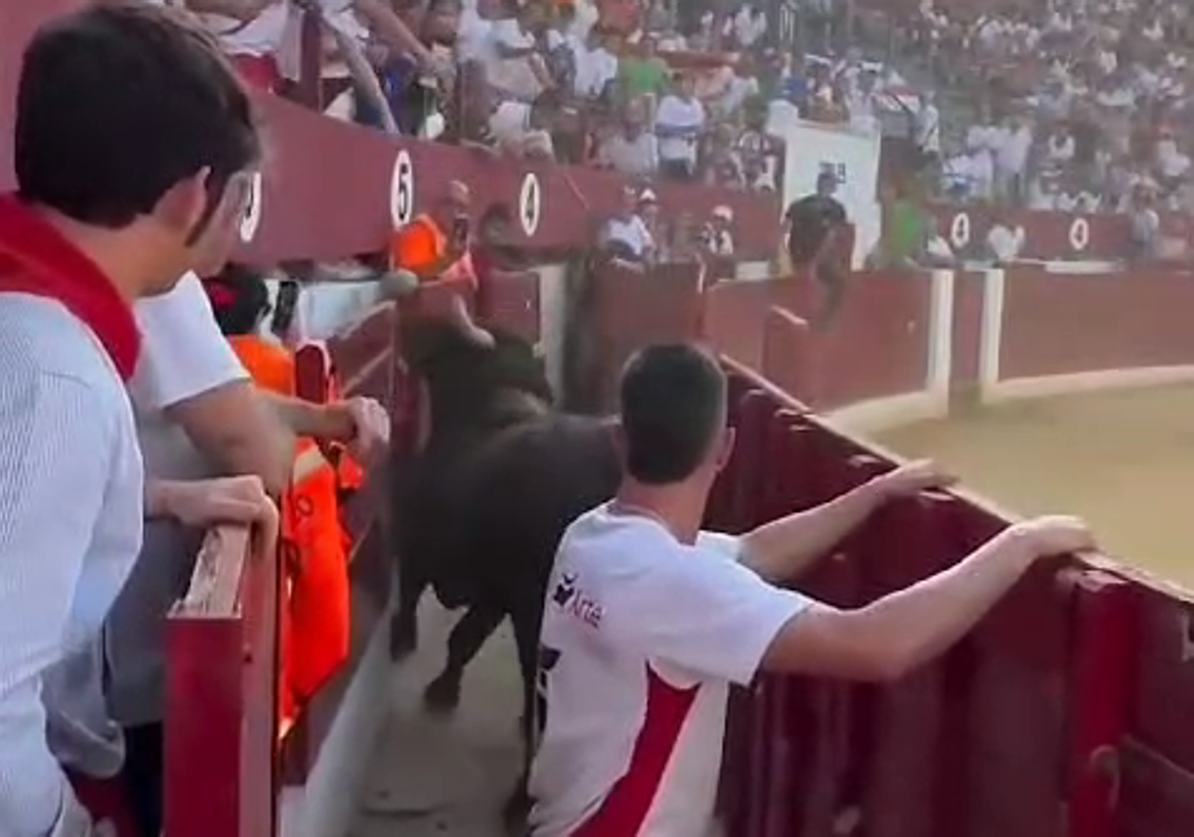 Un toro salta al callejón en Calahorra