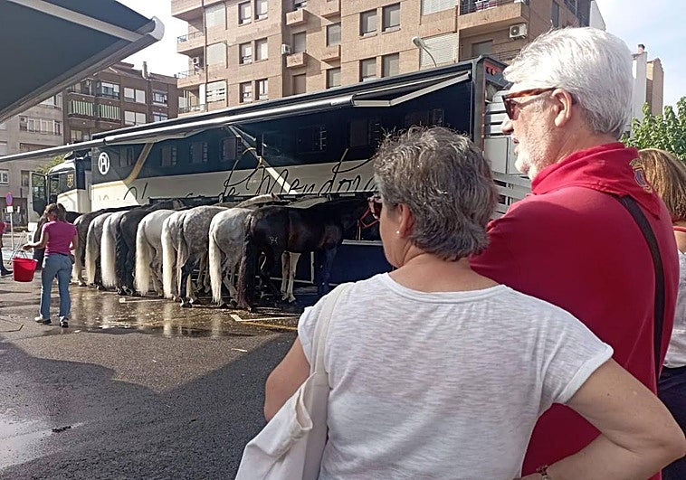 La cuadra de Pablo Hermoso de Mendoza llega a Calahorra