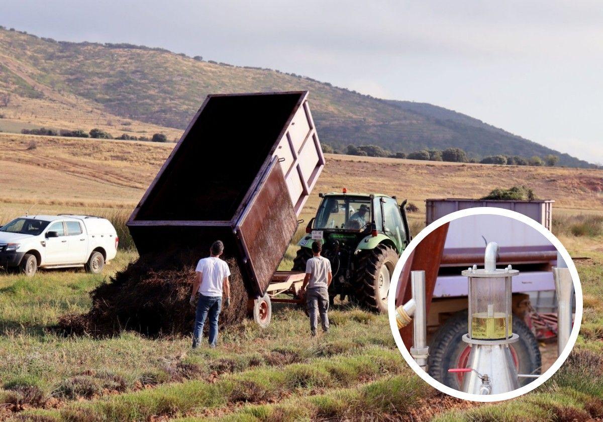 Cosecha y aceite obtenido del campo de lavanda en la Finca Ordoyo de Quel.