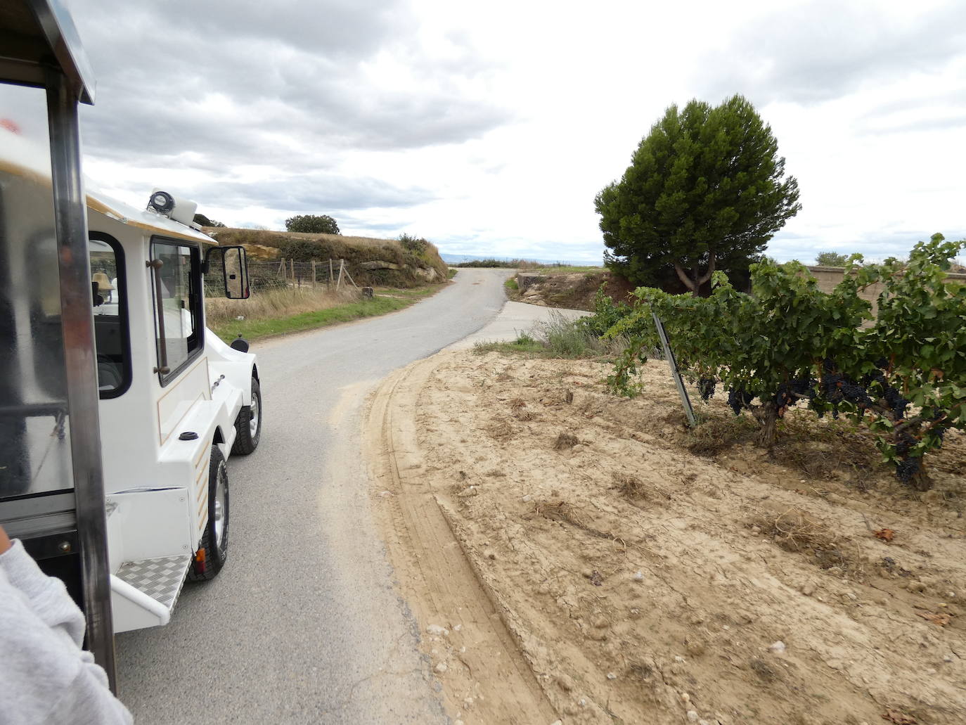 Jornadas de Puertas Abiertas de las bodegas de Ábalos