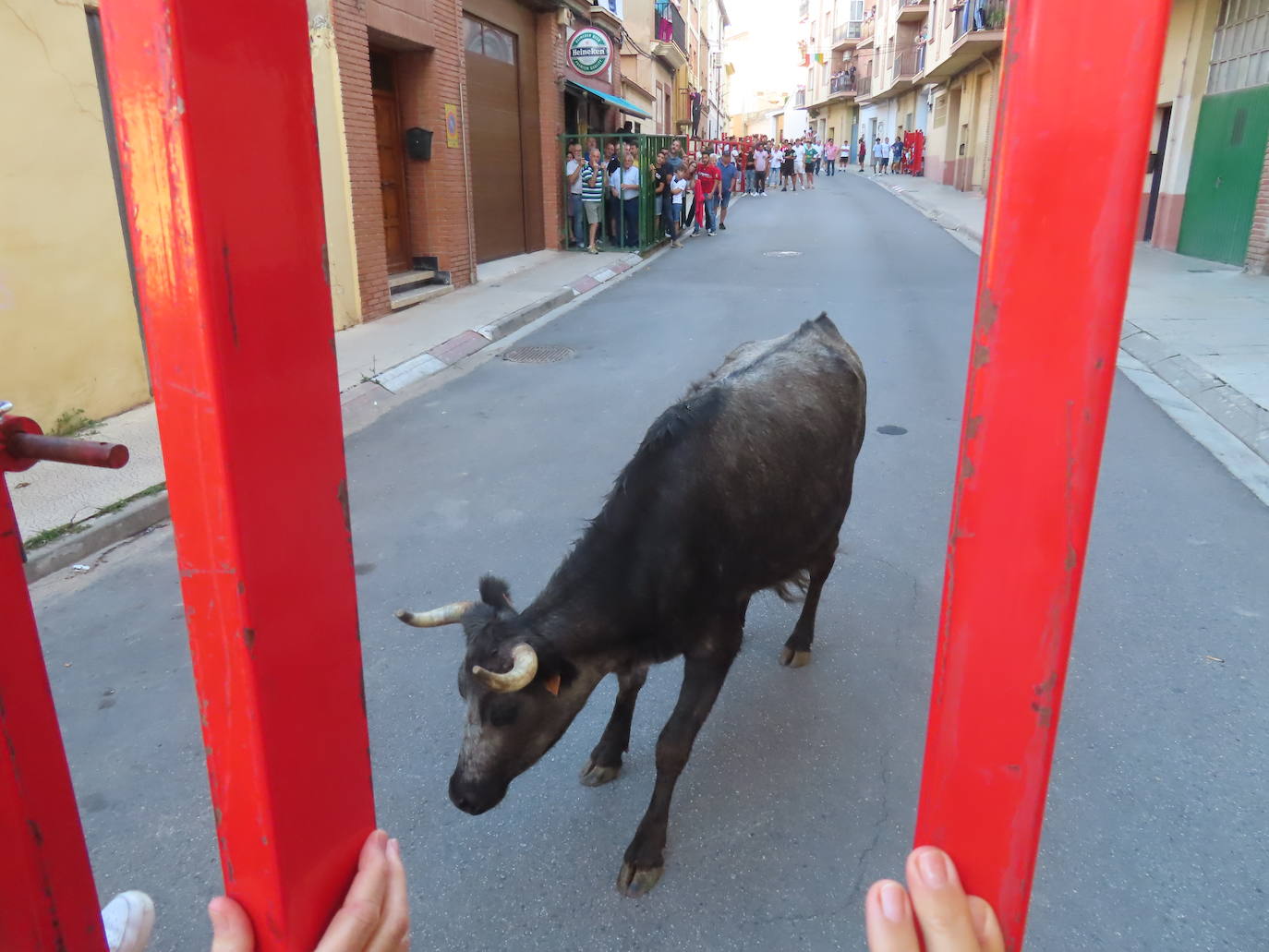 Alfaro celebra sus fiestas del Burgo