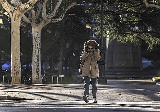 Las mínimas podrían acercarse a los cero grados.