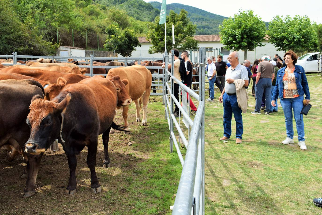 XXVII Feria Ganadera de Villoslada de Cameros