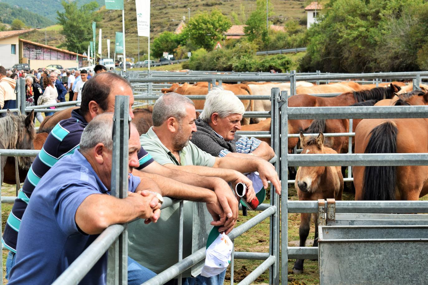 XXVII Feria Ganadera de Villoslada de Cameros