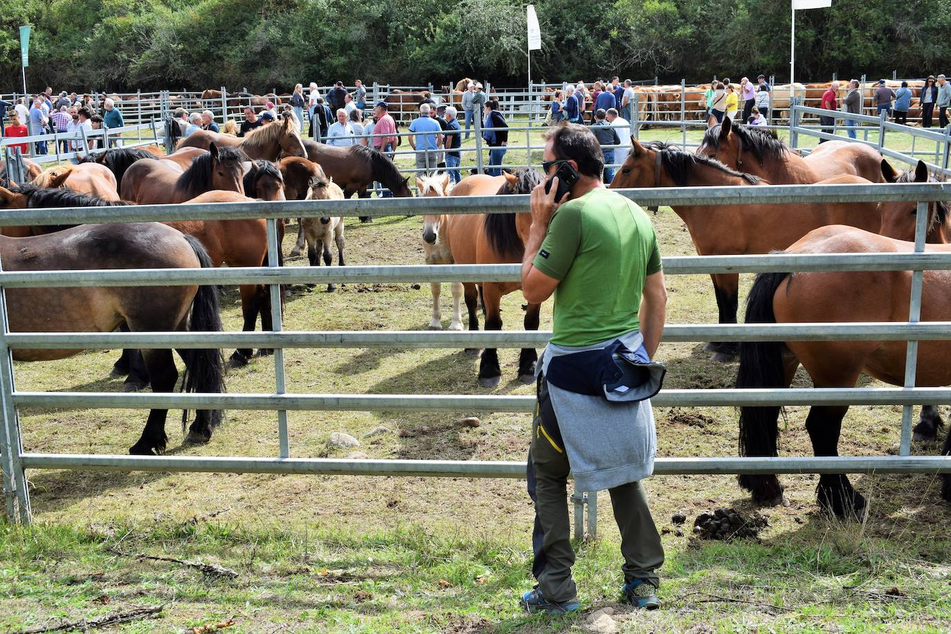 XXVII Feria Ganadera de Villoslada de Cameros