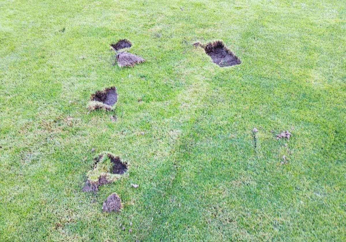 Destrozos en el campo de fútbol de Pradejón