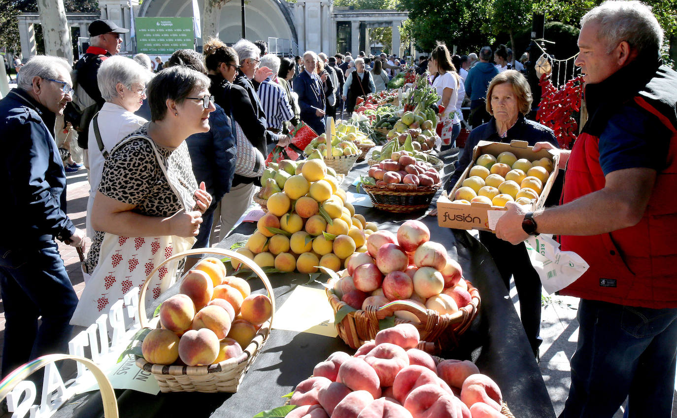 El Espolón acoge la 55 edición del Concurso Agrícola