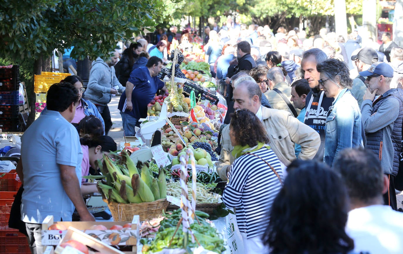 El Espolón acoge la 55 edición del Concurso Agrícola