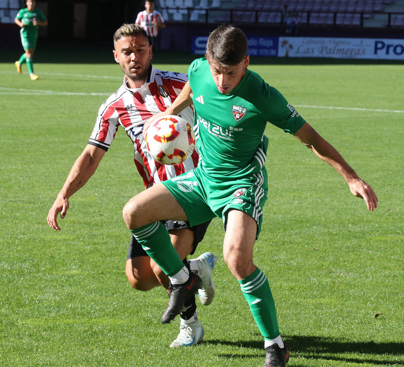 El partido SDL-Arenas