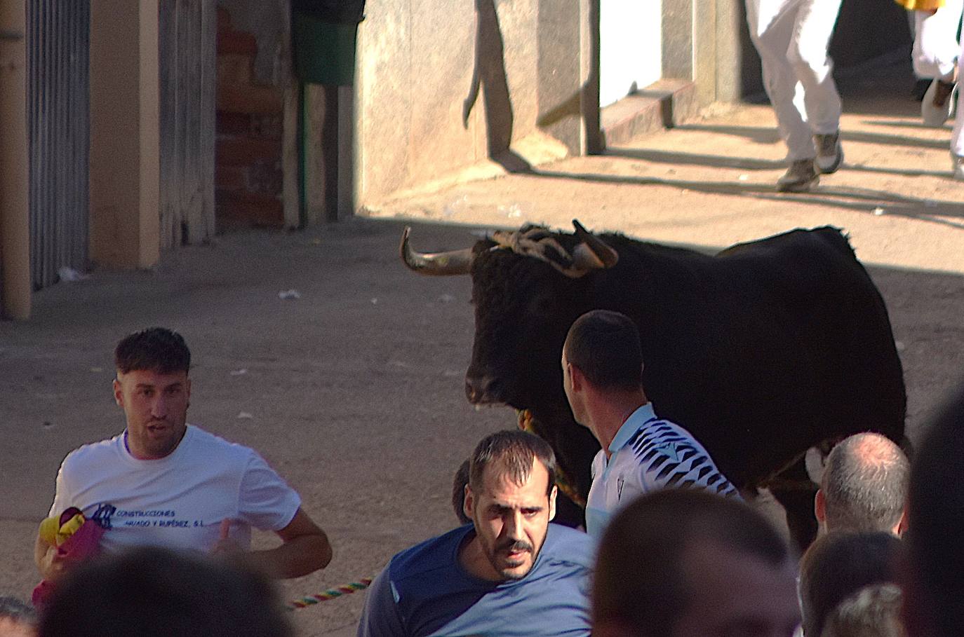 Toro ensogado en las fiestas de la Virgen del Carmen de Cabretón