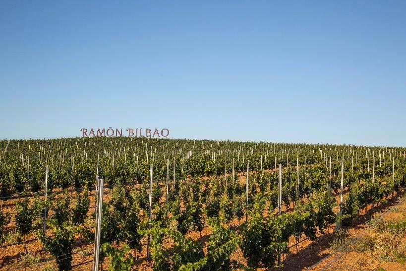 Los Reyes aceptan la Presidencia de Honor del centenario de Ramón Bilbao