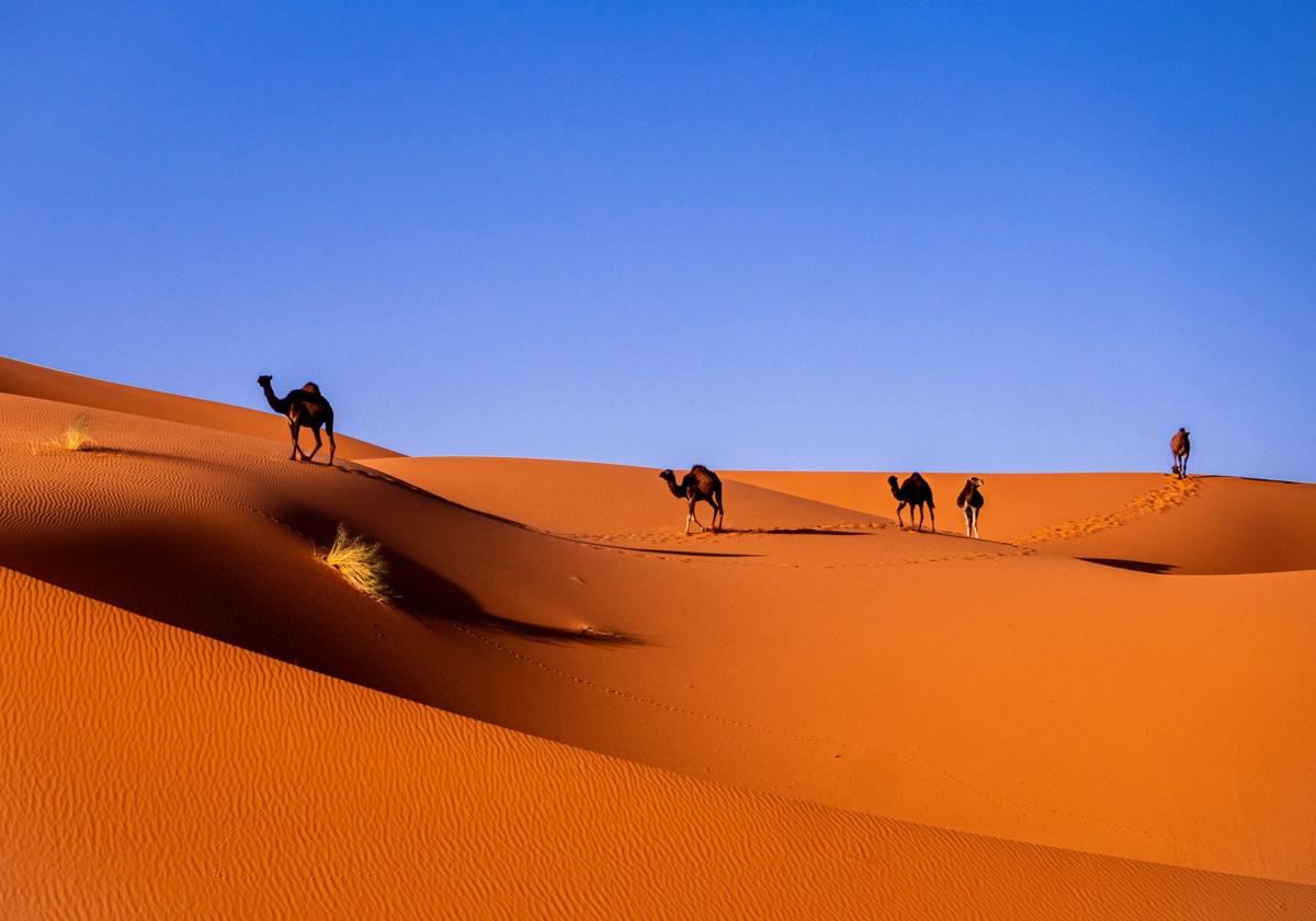 Imagen promocional de un viaje por el desierto.