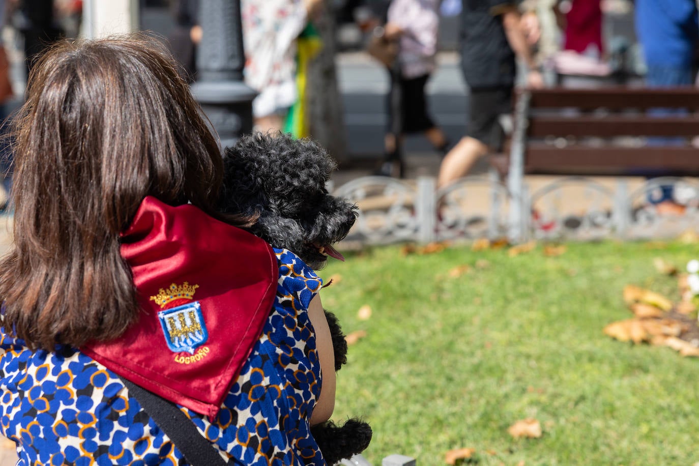 Salchichón, pimientos, huevos, chuletas... todas las degustaciones el día de San Mateo