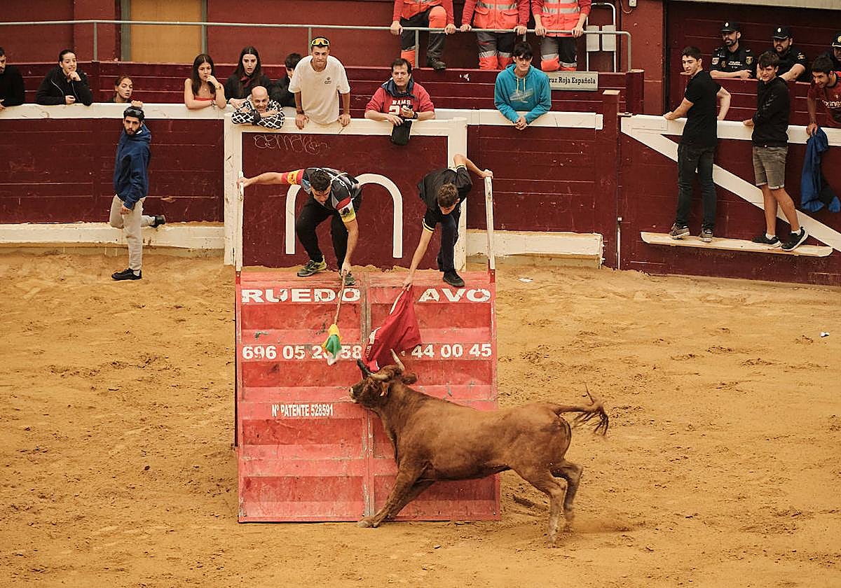 La primera jornada de vaquillas, un éxito