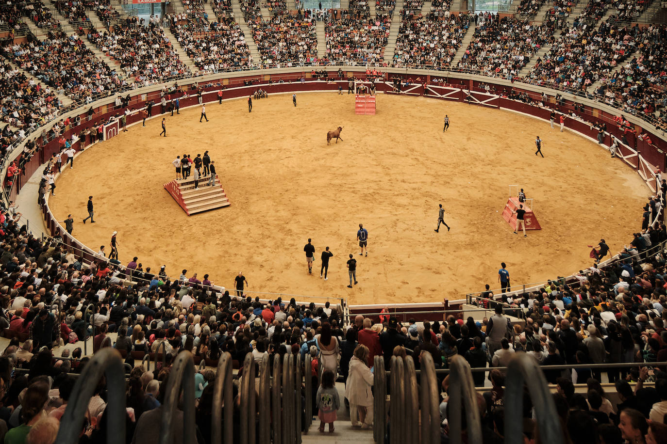 La primera jornada de vaquillas, un éxito