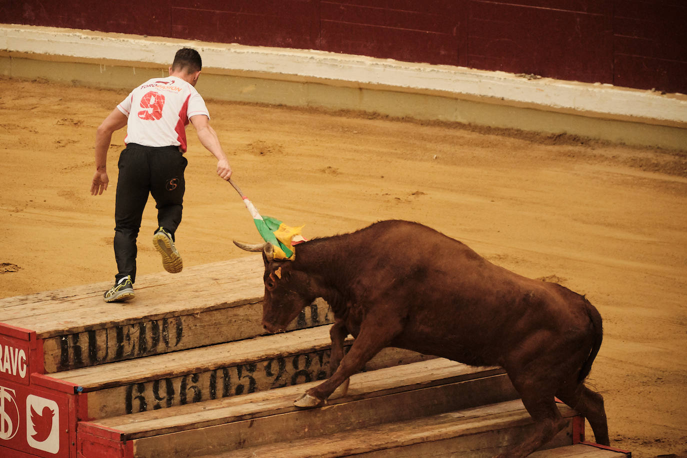 La primera jornada de vaquillas, un éxito
