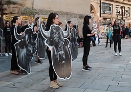 Anima Naturalis pide en la plaza del Mercado «unas fiestas que no estén manchadas de sangre»