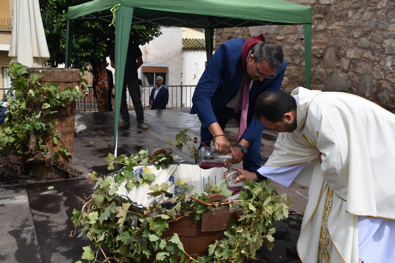 Imposición de pañuelos, procesión y pisado de la uva en Rincón de Olivedo