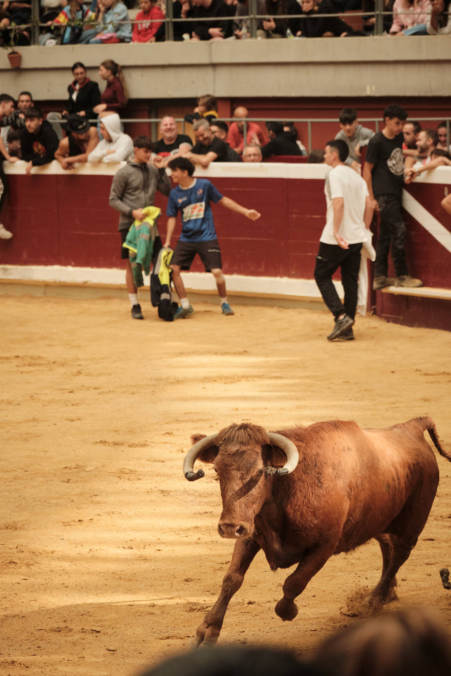 Lleno total en las vaquillas: las imágenes